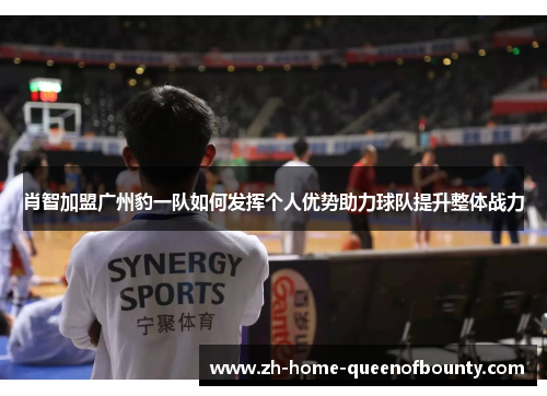 肖智加盟广州豹一队如何发挥个人优势助力球队提升整体战力