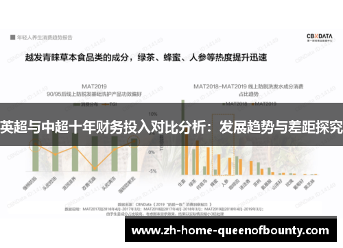 英超与中超十年财务投入对比分析：发展趋势与差距探究