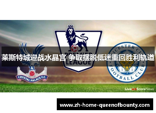 莱斯特城迎战水晶宫 争取摆脱低迷重回胜利轨道