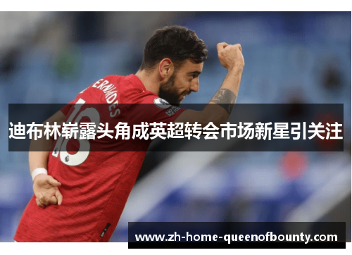 迪布林崭露头角成英超转会市场新星引关注