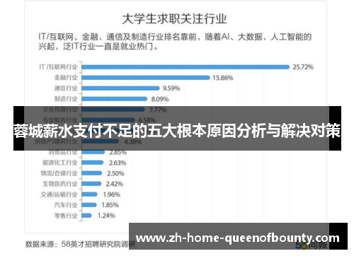 蓉城薪水支付不足的五大根本原因分析与解决对策