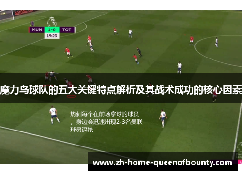 魔力鸟球队的五大关键特点解析及其战术成功的核心因素